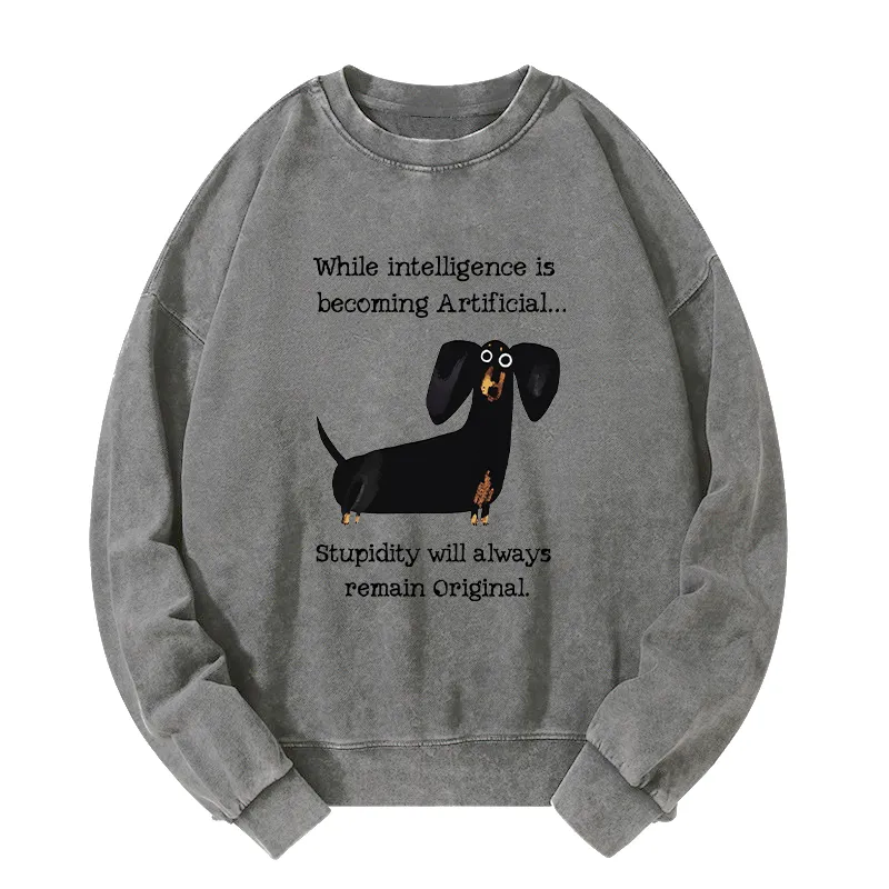 Tokyo-Tiger Dachshund Real Humor Funny Meme Washed Sweatshirt