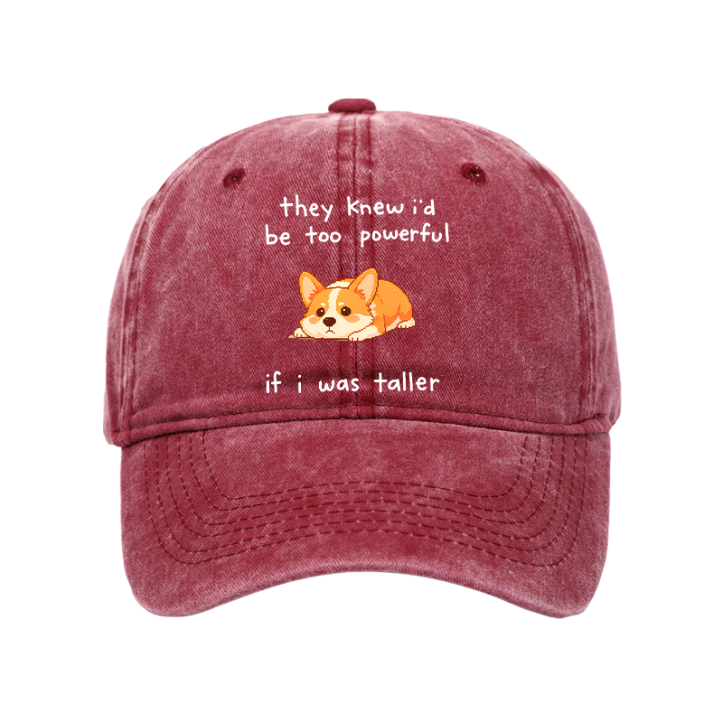 Tokyo-Tiger Funny Short Dog Joke Washed Cap