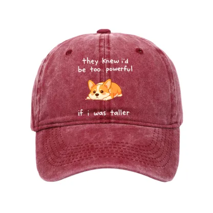 Tokyo-Tiger Funny Short Dog Joke Washed Cap