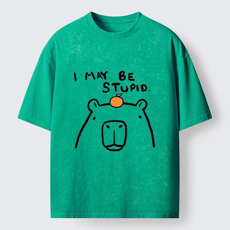 Tokyo‑Tiger Funny Capybara Orange Washed T‑Shirt