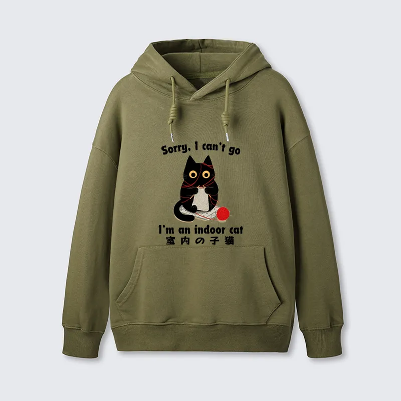 Tokyo-Tiger Indoor Cat Meme Classic Hoodie