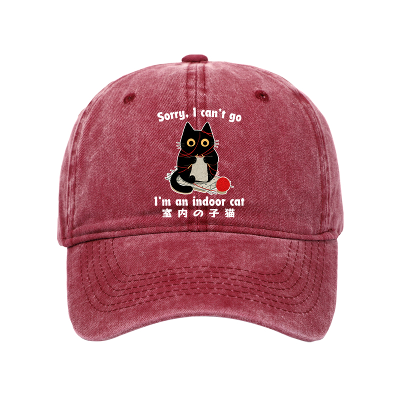 Tokyo-Tiger Indoor Cat Meme Washed Cap