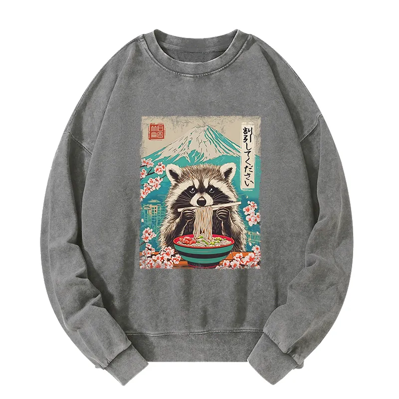 Tokyo-Tiger Please Give Raccoon A Discount Washed Sweatshirt