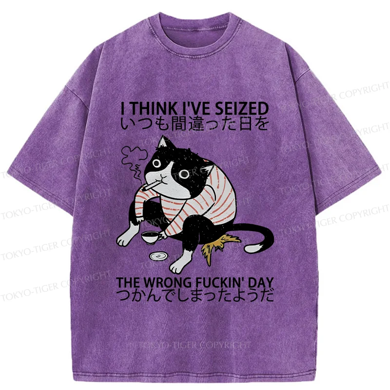 Tokyo-Tiger Decadent Cat Funny Washed T-Shirt