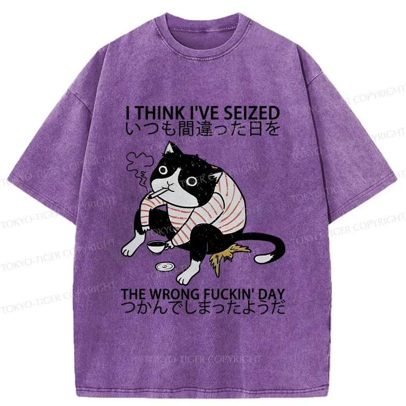 Tokyo-Tiger Decadent Cat Funny Washed T-Shirt