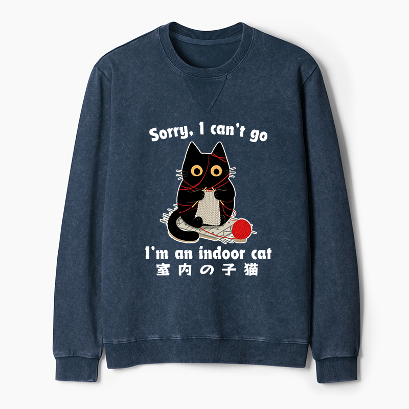 Tokyo-Tiger Indoor Cat Meme Washed Terry Sweatshirt
