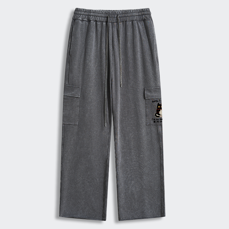 Tokyo-Tiger Indoor Cat Meme Washed Utility Sweatpants