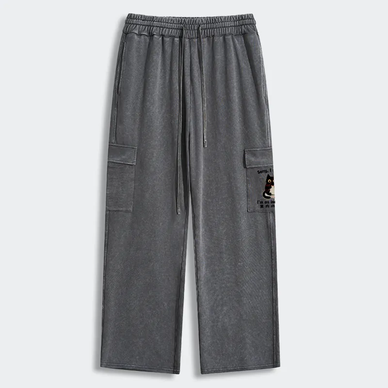 Tokyo-Tiger Indoor Cat Meme Washed Utility Sweatpants