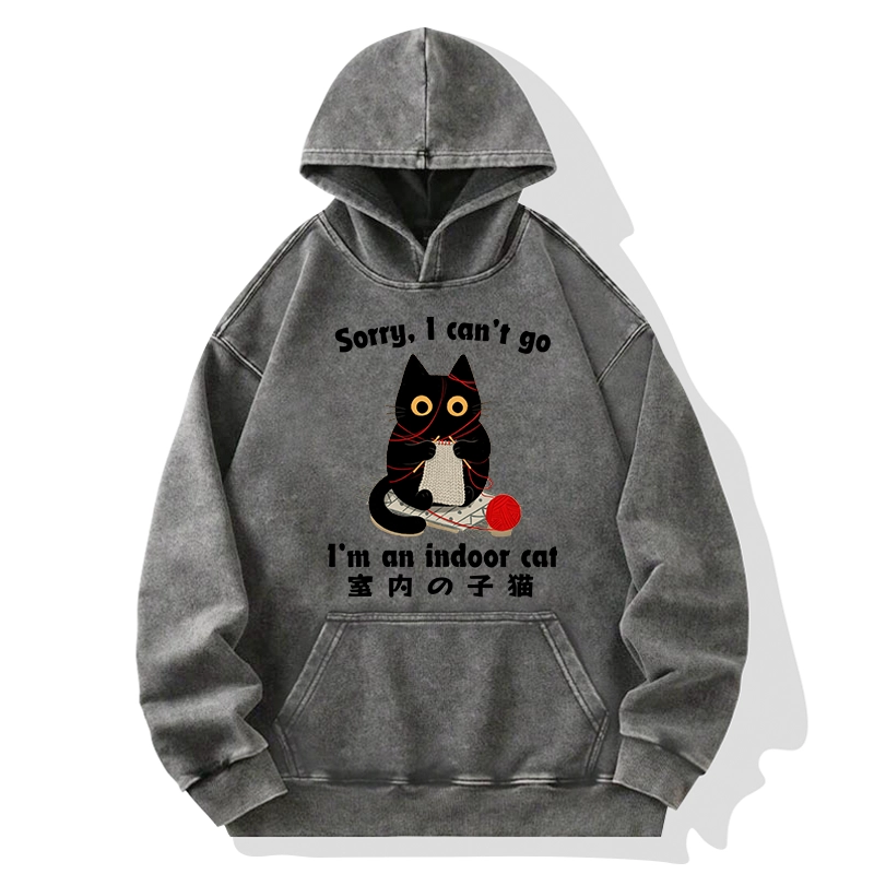 Tokyo-Tiger Indoor Cat Meme Washed Hoodie