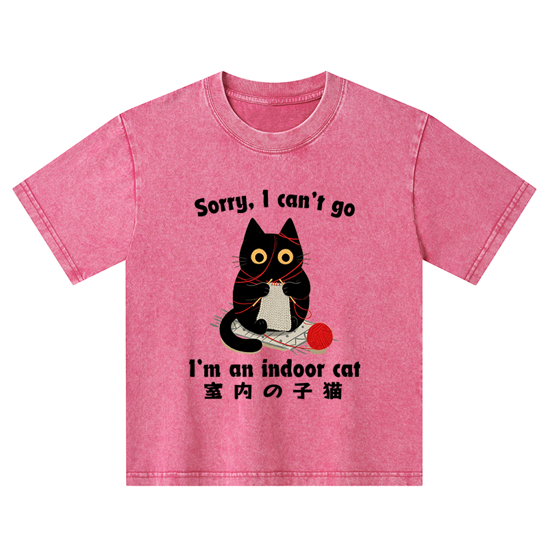 Tokyo-Tiger Indoor Cat Meme Kids Washed T-Shirt