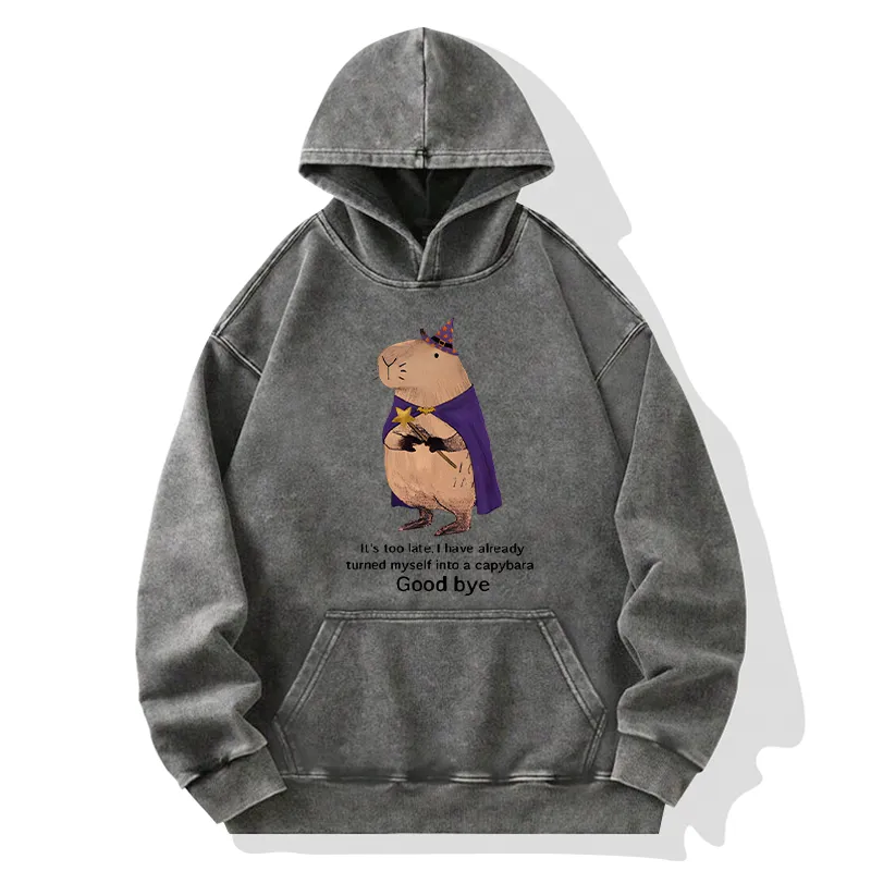 Tokyo-Tiger Funny Wizard Capybara Washed Hoodie