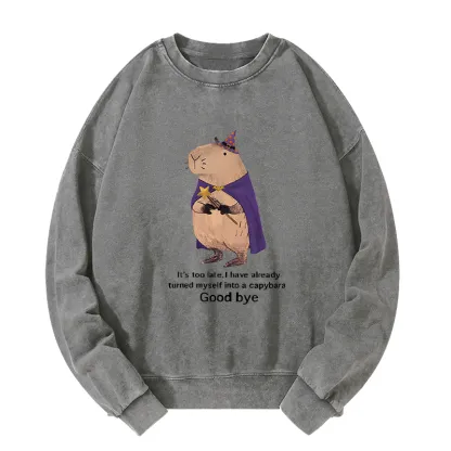 Tokyo-Tiger Funny Wizard Capybara Washed Sweatshirt