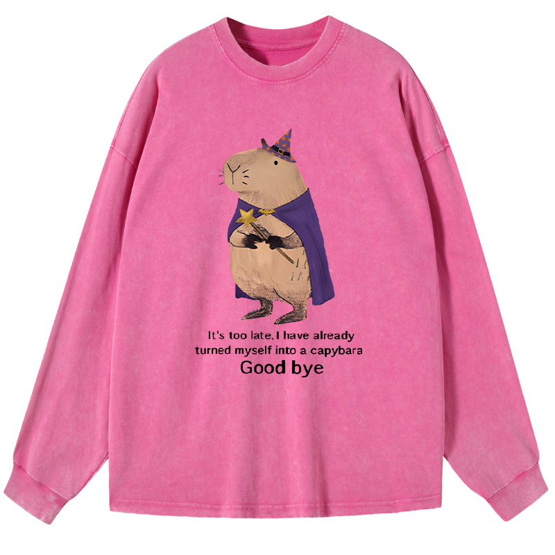 Tokyo-Tiger Funny Wizard Capybara Washed Long Sleeve T-Shirt