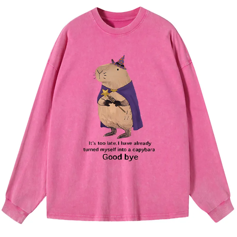 Tokyo-Tiger Funny Wizard Capybara Washed Long Sleeve T-Shirt