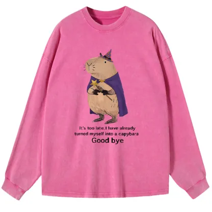 Tokyo-Tiger Funny Wizard Capybara Washed Long Sleeve T-Shirt