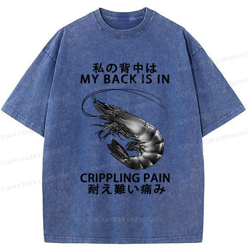 Tokyo-Tiger My Back Is In Crippling Pain Washed T-Shirt