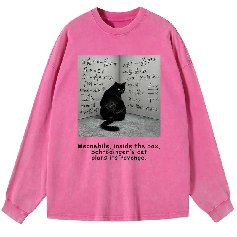 Tokyo-Tiger Box Black Cat Science Meme Washed Long Sleeve T-Shirt