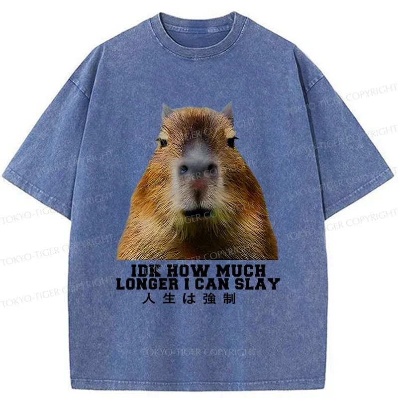 Tokyo-Tiger Life Is Forced Washed T-Shirt