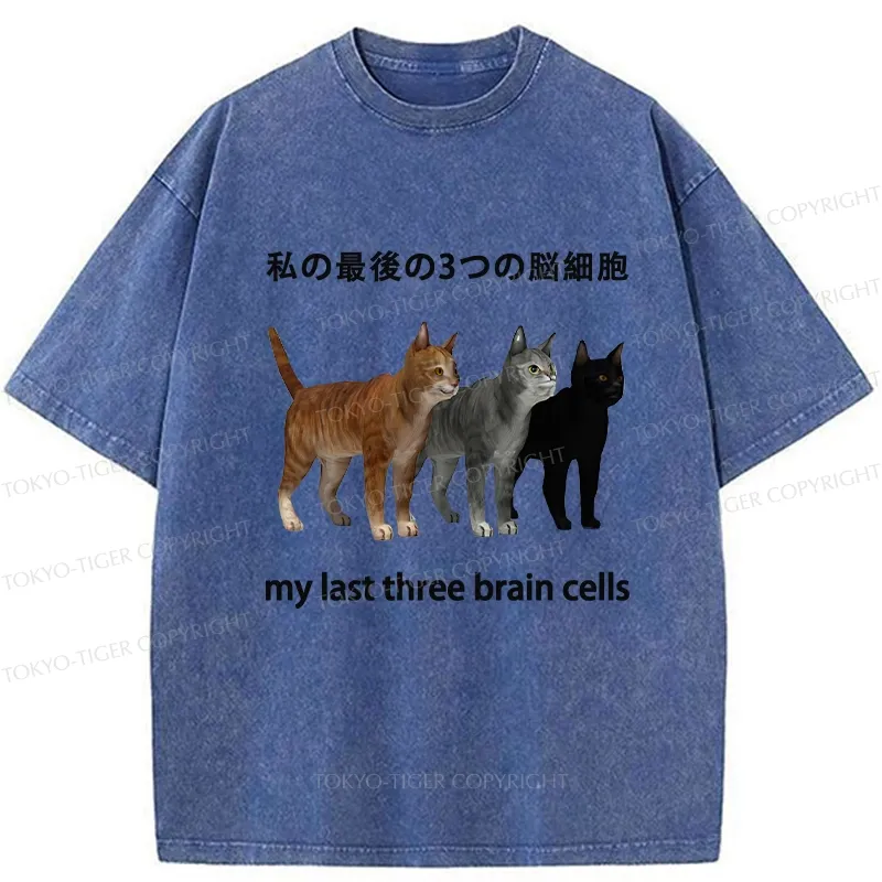 Tokyo-Tiger My Last Three Brain Cells Washed T-Shirt