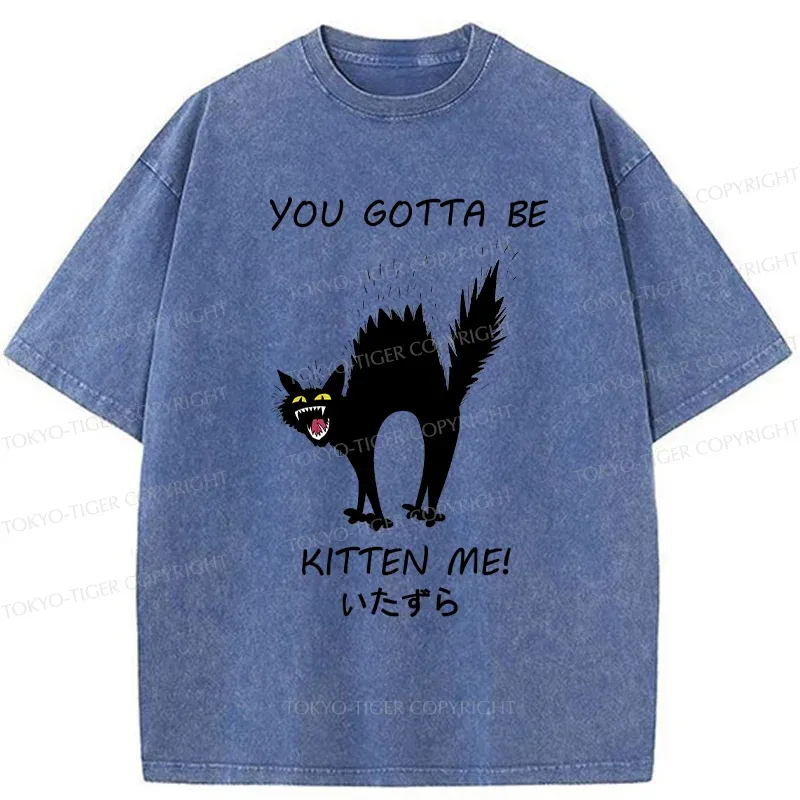 Tokyo-Tiger Cat Being Teased Washed T-Shirt