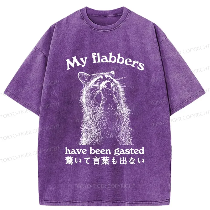 Tokyo-Tiger My Flabbers Have Been Gasted Washed T-Shirt