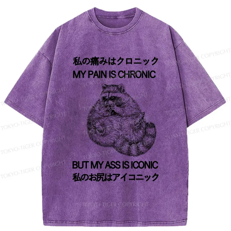 Tokyo-Tiger Raccoon Assis Iconic Washed T-Shirt