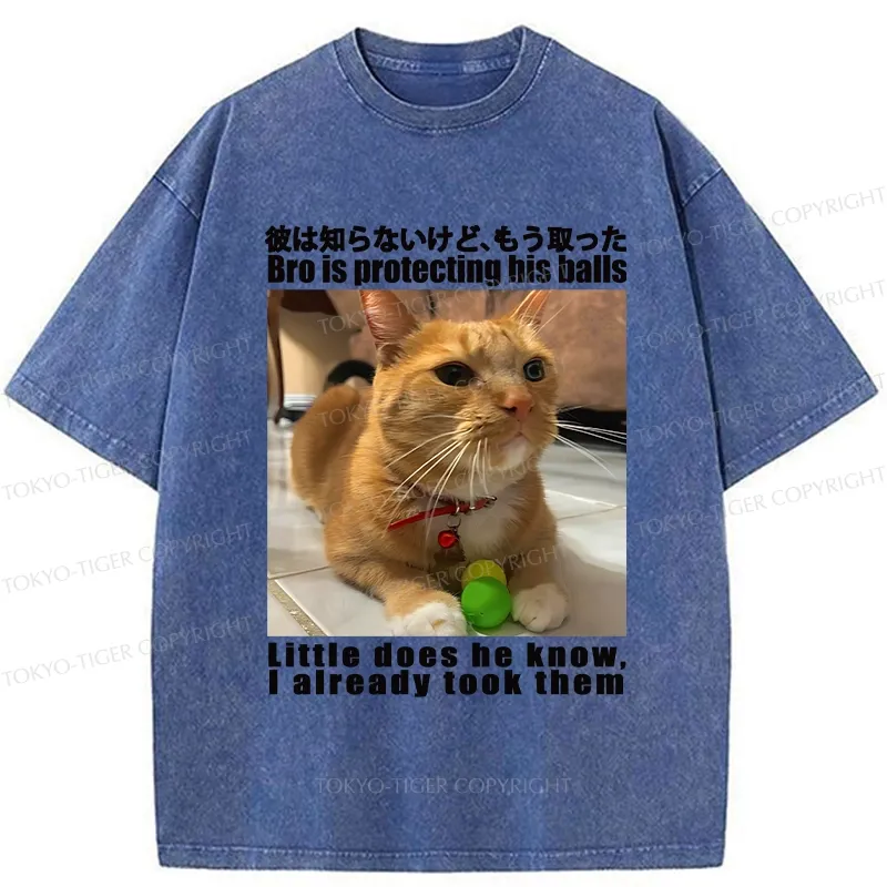 Tokyo-Tiger Bro Is Protecting His Balls Washed T-Shirt