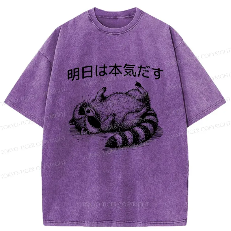 Tokyo-Tiger Lazy Raccoon Washed T-Shirt