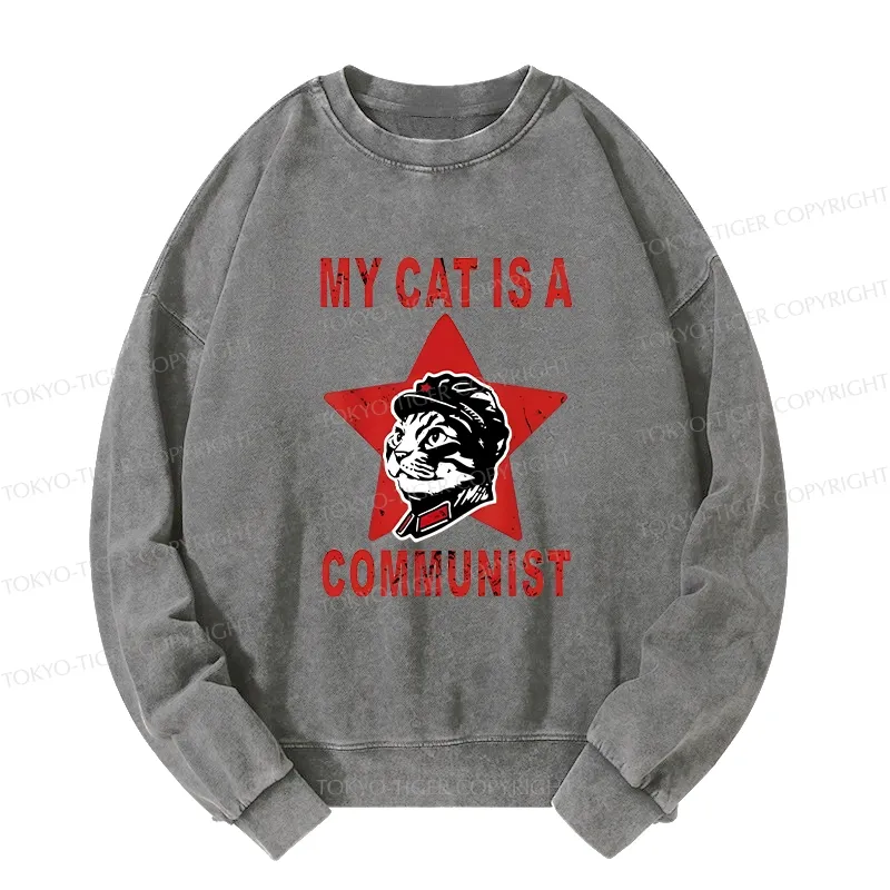 Tokyo-Tiger Funny Cat-ism Washed Sweatshirt
