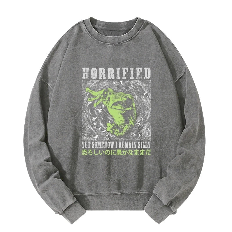 Tokyo-Tiger Silly Frog Japanese Washed Sweatshirt Sale