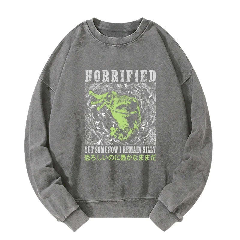 Tokyo-Tiger Silly Frog Japanese Washed Sweatshirt Sale