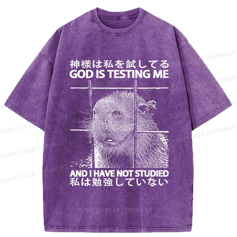 Tokyo-Tiger God Is Testing Me Washed T-Shirt