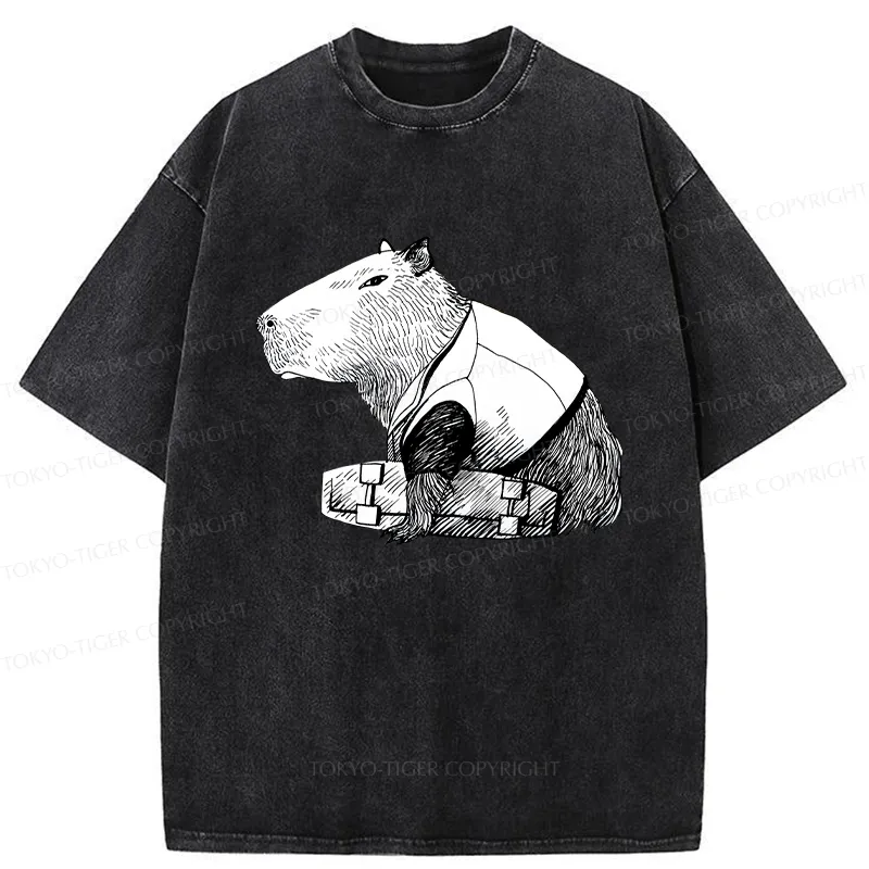 Tokyo-Tiger Funny Capybara Skateboard Washed T-Shirt