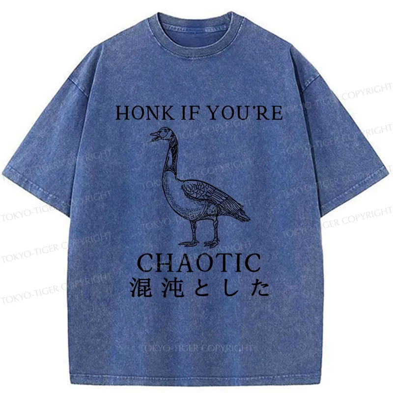 Tokyo-Tiger Honk If You're Chaotic Washed T-Shirt