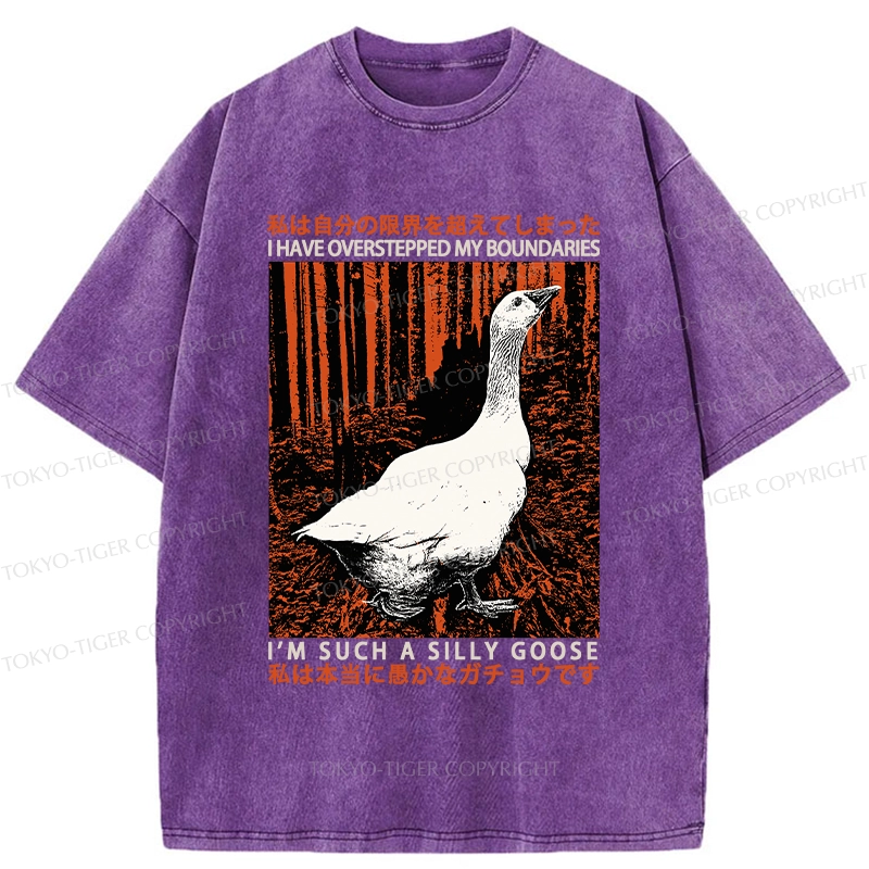 Tokyo-Tiger Such A Silly Goose Funny Washed T-Shirt