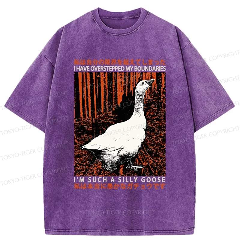 Tokyo-Tiger Such A Silly Goose Funny Washed T-Shirt