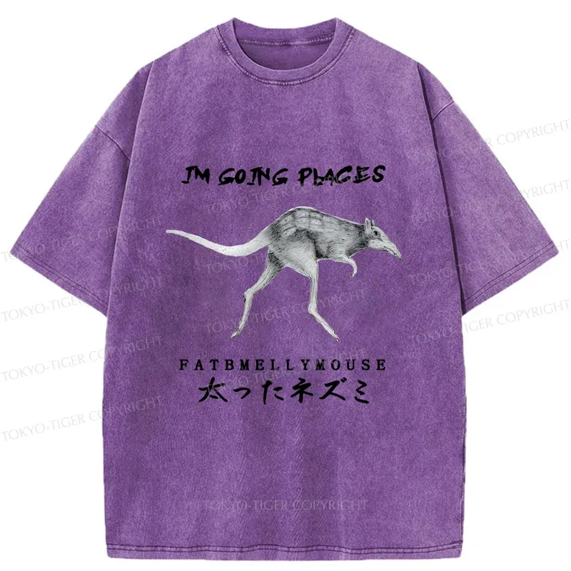 Tokyo-Tiger Long-Legged Mouse Washed T-Shirt
