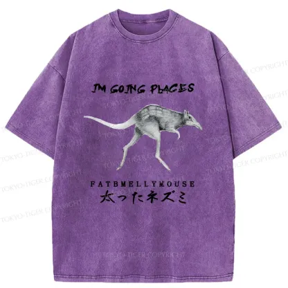 Tokyo-Tiger Long-Legged Mouse Washed T-Shirt