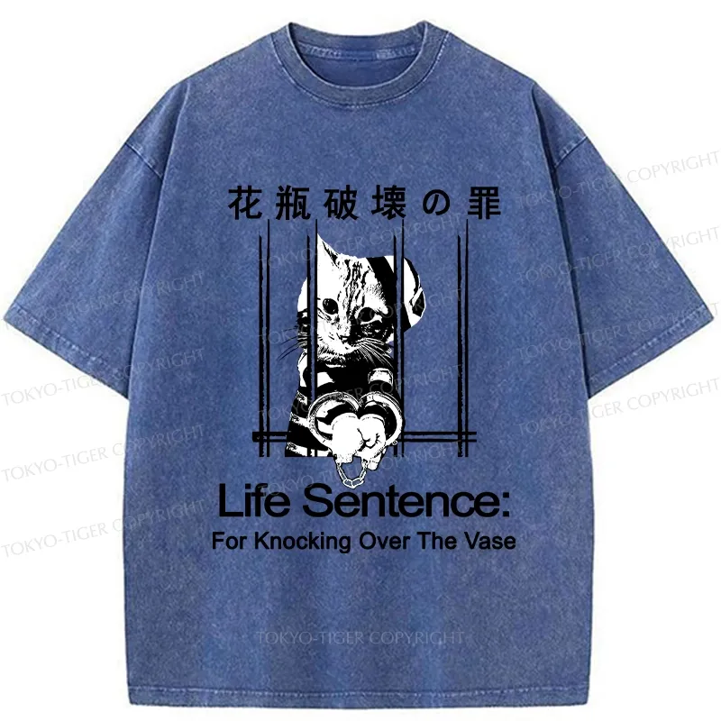 Tokyo-Tiger The Sin Of Vase Breaking Funny Washed T-Shirt