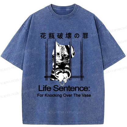Tokyo-Tiger The Sin Of Vase Breaking Funny Washed T-Shirt