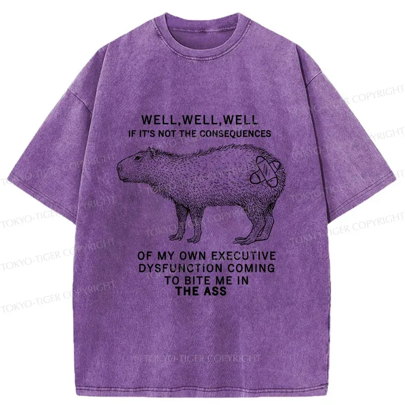 Tokyo-Tiger Stupid Capybara Washed T-Shirt