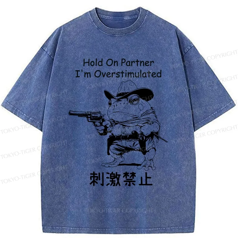 Tokyo-Tiger Overstimulated Frog Washed T-Shirt