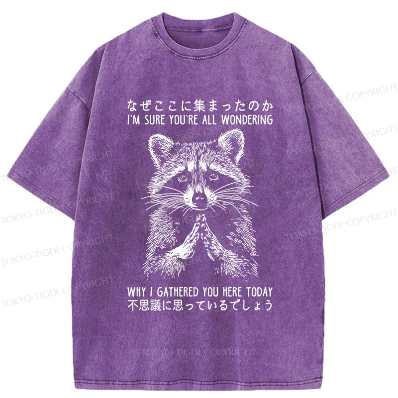 Tokyo-Tiger Something's Going On Raccoon Washed T-Shirt