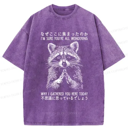 Tokyo-Tiger Something's Going On Raccoon Washed T-Shirt