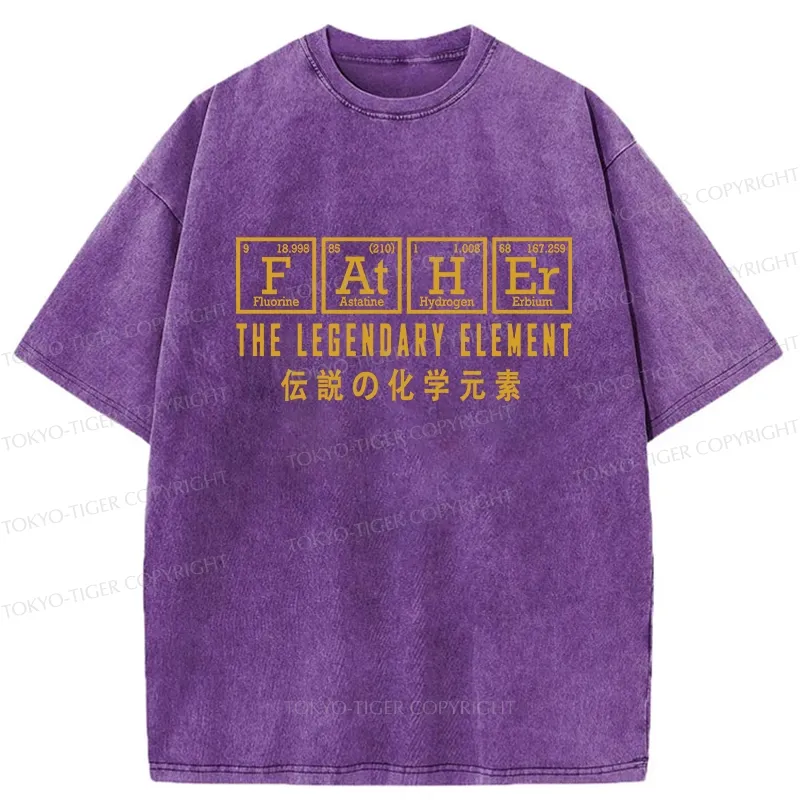 Tokyo-Tiger Funny Father Chemical Element Washed T-Shirt