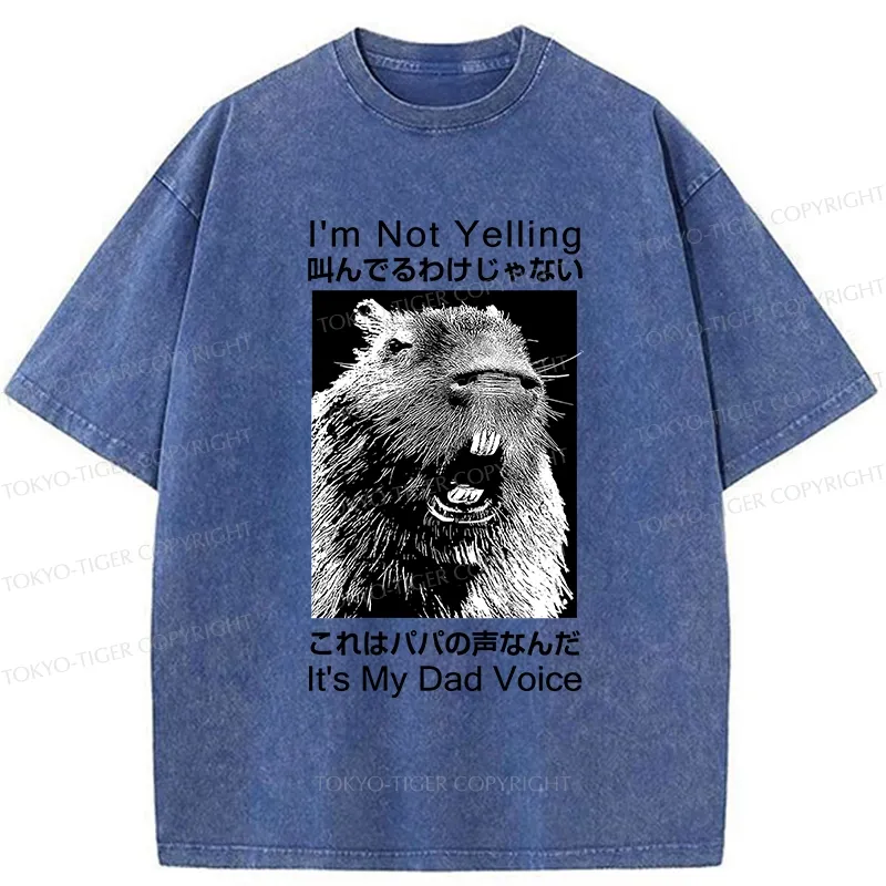 Tokyo-Tiger Funny Dad Voice Washed T-Shirt