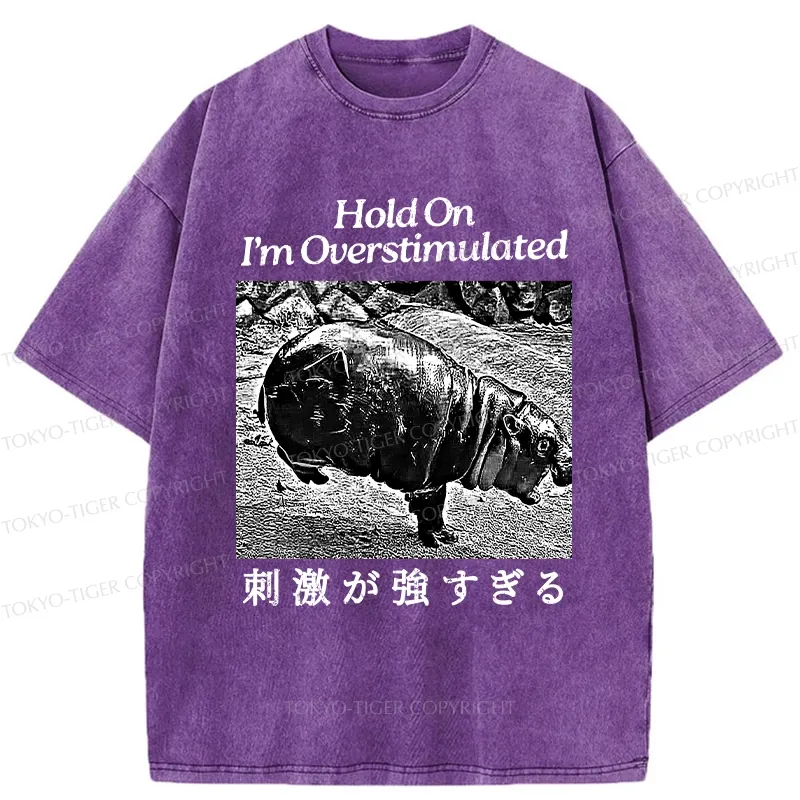 Tokyo-Tiger Overstimulated Moo Deng Washed T-Shirt