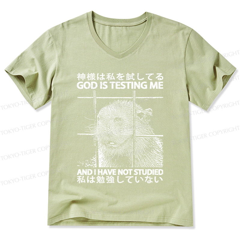 Tokyo-Tiger God Is Testing Me V-Neck Classic T-Shirt