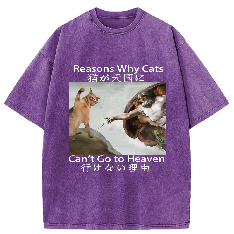 Tokyo-Tiger Naughty Cat Can't Go To Heaven Washed T-Shirt