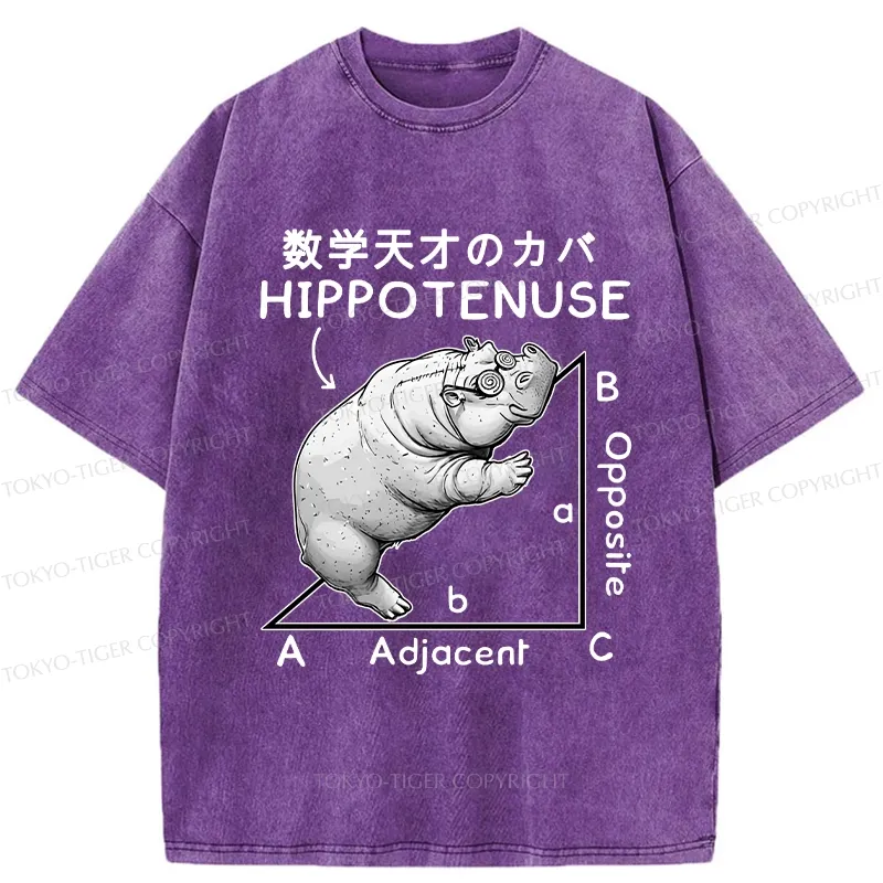 Tokyo-Tiger Mathematical Genius Hippo Washed T-Shirt
